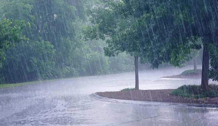 豪雨の様子
